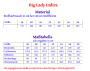 E-Book Mialuna Damenshirt Big Lady Indira, duits