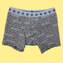 E-book Nähfrosch Herren Boxershorts BAWAH, Duits
