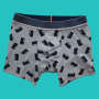 E-book Nähfrosch Herren Boxershorts BAWAH, Duits