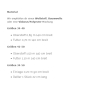 E-Book Schnittmuster Berlin Damen Rock Rebecka