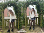 E-book Sewingmachina Skort Felix, Duits en Engels