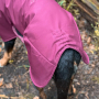 E-book The DogWorkShop Hundemantel Rainy, Duits
