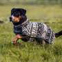 E-book The DogWorkShop Hundepullover Cozy, Duits