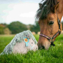 E-Book von Lange Hand Pony-Kissen, german