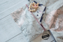 Ebook Eing'fadelt Rucksack Nappy Bag Basic