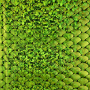 Tissu lamé jersey stretch peau de dragon, vert