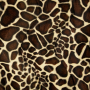 Tissu fausse fourrure peau de bête Girafe 2