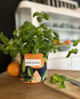 Patron couture gratuit cache pot en tissu pdf Malomi, en français