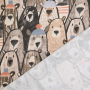 French Terry roughened bear gang, brown