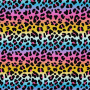 French Terry Rainbow Leo, veelkleurig