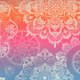Tissu jersey technique sport Albstoffe Hamburger Liebe Fire circles, rose
