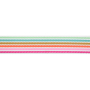 Tassenband Rainbowstripes 38 mm, multicolor