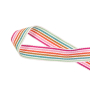 Tassenband Rainbowstripes 38 mm, multicolor