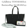 Kombi E-Book LilaMint Design Geldbörse Tennessee16 + Businessbag Alabama22, german