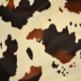 Tissu fausse fourrure peau de bête Vache 2