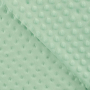 Tissu polaire minky doux à pois, menthe
