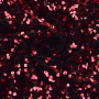 Pailletten velours stof, rood