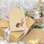 Fichier dessin flocage Lapins scandinaves 