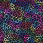 Tissu jersey polyester Halloween Pentagramme, noir
