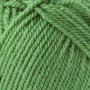 Schachenmayr Wol Bravo uni 50 g fern