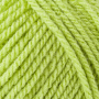 Schachenmayr Wol Bravo uni 50 g lime