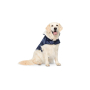 Paper Pattern Dog Coat, Burda 6049