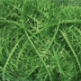 Scrub yarn Rellana Funny Scrub, 67  pistache