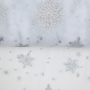 Soft tule frozen chrystals, wit