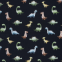 Softshell Dinosaur, marine