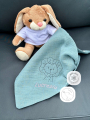 Fichier modèle broderie Lion – petite troupe Beemybear