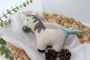 Fichier modèle broderie Peluche cheval Fadenstark