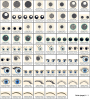 Stickdatei Rock Queen Augen Set 1