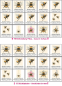 Stickdatei Rock Queen Bumblebee-Hummel