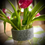 Stickdatei Rock Queen Oster-Set Frohe Ostern