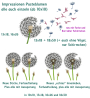 Stickdatei Rock Queen Pusteblumen Version 2.0