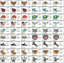 Stickdatei Rock Queen Tier-Minis