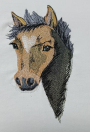 Borduurbestand Stickzebra Fohlen, Duits