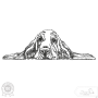 Borduurbestand Stickzebra hond Basset, Duits