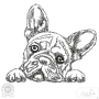 Borduurbestand Stickzebra hond Bulldog, Duits