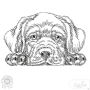 Borduurbestand Stickzebra hond labrador, Duits