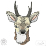 Borduurbestand Stickzebra kleines Reh, Duits