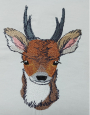 Borduurbestand Stickzebra kleines Reh, Duits