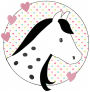 Fichier modèle broderie Écusson poney Stickzeit