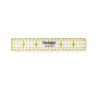 Universal Ruler with inch scale 1 x 6 inch