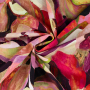 Tissu jersey viscose abstract flowers, rose millennial